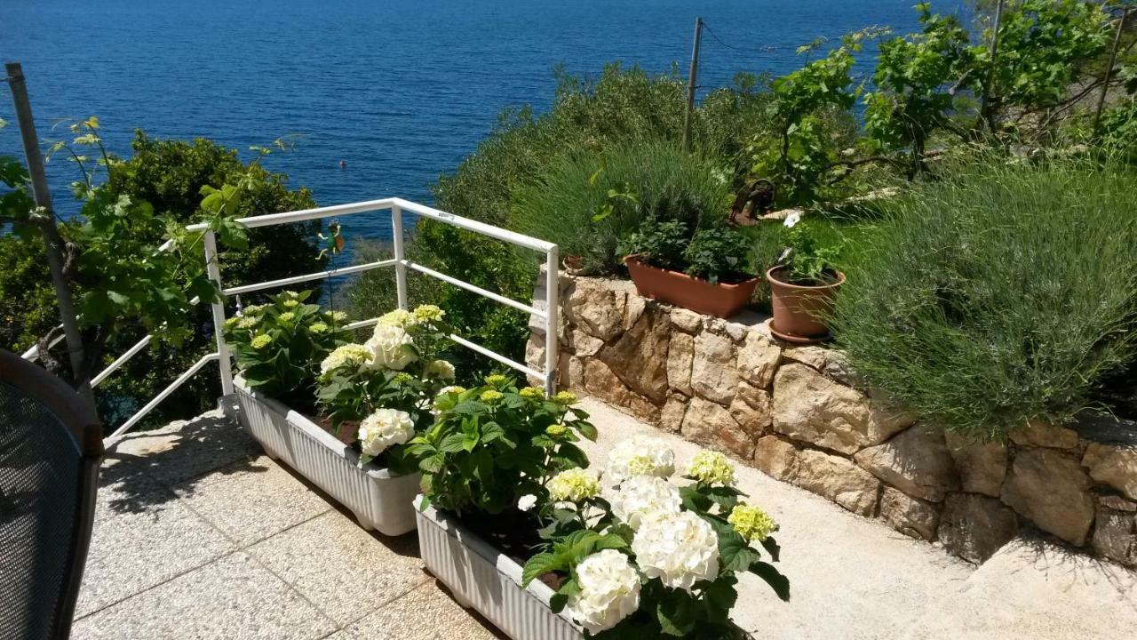 Sunset Apartments Slano Zewnętrze zdjęcie